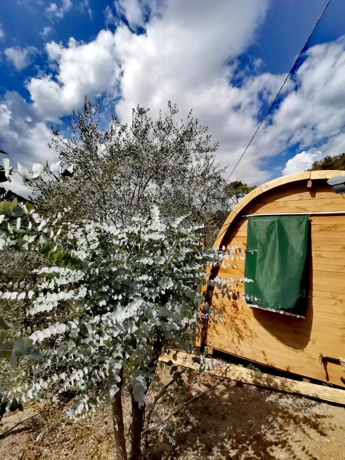 Tiny Cottage Casa Uccello Apricale Dış mekan fotoğraf